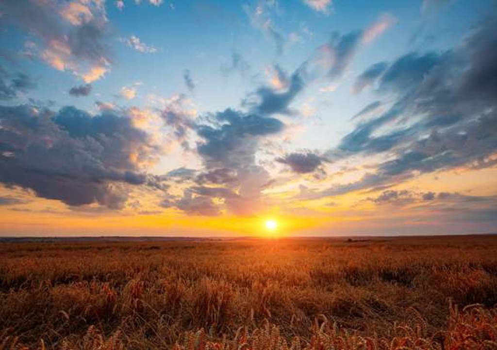 Sunset Horizon