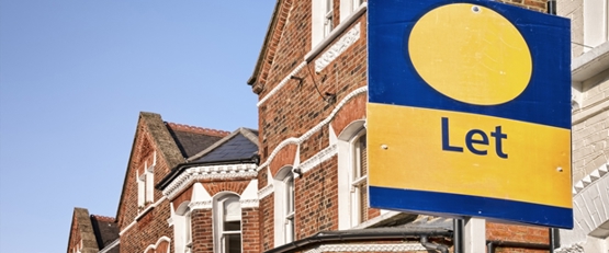 Article Image Hmo Yields